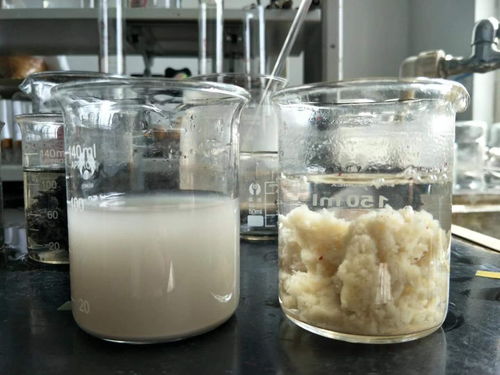 湟中食品厂破乳剂除油剂专用化学产品使用指南